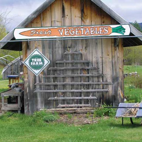 Farming to Teach at The Community School